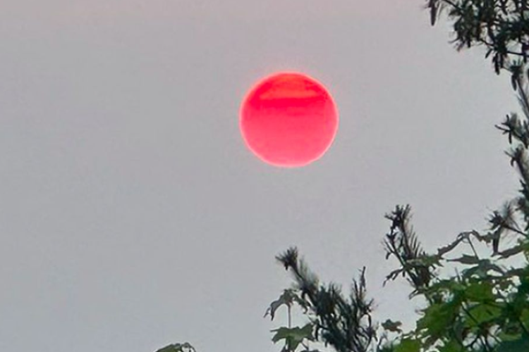 Fenomena Matahari Merah Hebohkan Warga Kalimantan, NASA Rilis Penjelasan Ilmiahnya!