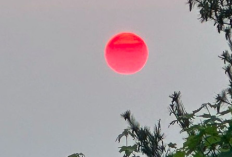 Fenomena Matahari Merah Hebohkan Warga Kalimantan, NASA Rilis Penjelasan Ilmiahnya!