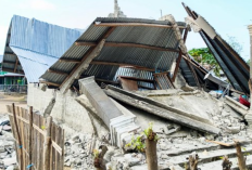  Deputi Bidang Geofisika BMKG Laporkan 3002 Kali Gempa Susulan di NTT, Korban Kini Terus Bertambah