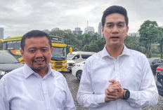 Polemik Sekpri Wakil Bupati Sumedang Fajar Aldila Kian Memanas, KDM Resmi Bentuk Tim Investigasi